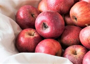 La mela annurca torna protagonista con la “Festa della Mela”