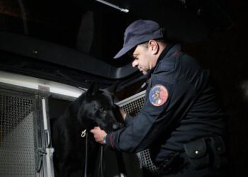 Trentola Ducenta, cane pastore dei carabinieri fiuta armi e munizioni: scatta un arresto