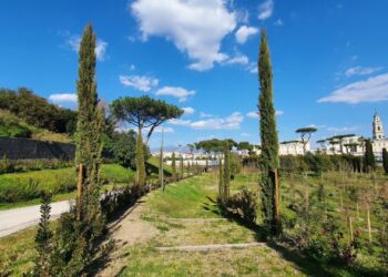 Pompei, 150 pecore per 9 mesi pascoleranno nel Parco Archeologico