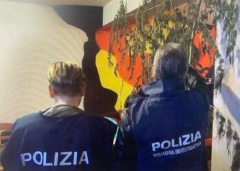 Cava de’ Tirreni, coltivava cannabis in casa: arrestato 50enne del posto