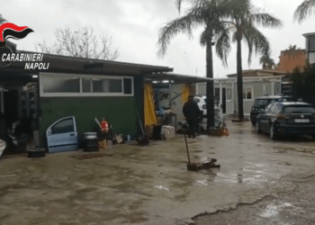 Reati ambientali, controlli dei carabinieri forestali a Castellammare di Stabia e Pompei: denunciate 3 persone (Video)