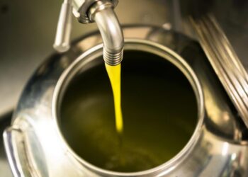 Nel casertano ladri in azione in un frantoio, spariti quintali di olio