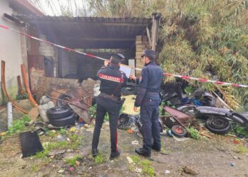 Reati ambientali, controlli dei carabinieri a Giugliano in Campania: denunciate 3 persone