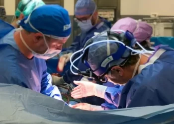 Primo trapianto di cornea artificiale in Italia: una donna, cieca da cinque anni torna a vedere