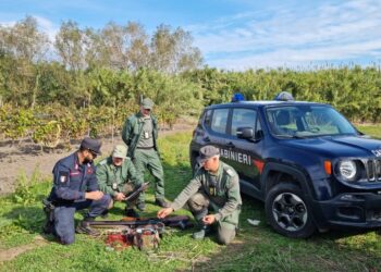 A Castel Volturno, richiami illegali per la caccia, due denunciati e due fucili sequestrati