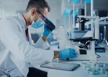 Covid, variante Kraken individuata in oltre 25 paesi: contagi e sintomi