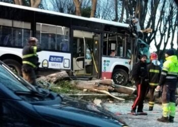 Autista ha un malore e sviene: autobus ANM si schianta contro gli alberi sulla rotonda tra Giugliano e Villaricca