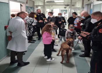 Il cane carabiniere Luna, in visita ai piccoli pazienti del reparto di pediatria dell’ospedale Moscati di Aversa
