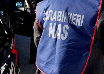 Blitz dei Nas nel casertano: chiusi tre panifici tra Aversa e Casaluce