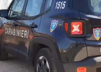 Reati ambientali, controlli dei carabinieri a Giugliano in Campania: sequestri e denunce