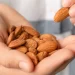 Allerta Ministero della Salute, richiamati lotti di mandorle sgusciate: presenza di aflatossine – rettifica –