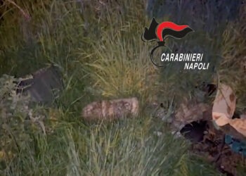 A Volla ritrovato ordigno bellico sul ciglio della strada: intervengono gli artificieri