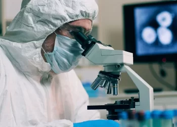 Covid, ratti positivi e suscettibili alle varianti: lo studio dell’università americana del Missouri