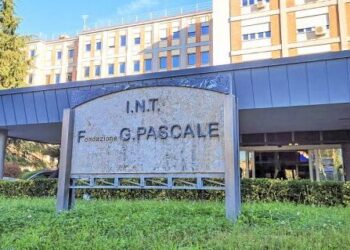 Tumore al pancreas, mix di farmaci potenzia effetto chemioterapia: studio condotto all’Istituto Pascale di Napoli