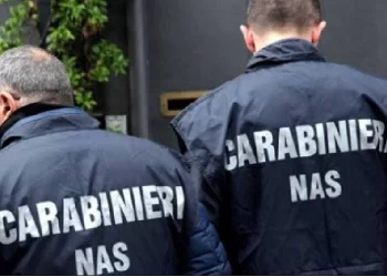 Controlli dei Nas nelle mense ospedaliere, presenza di escrementi e blatte: Denunciati 9 gestori