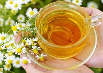 Camomilla: proprietà, benefici e modo d’uso
