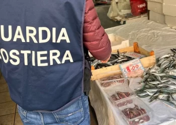 A Portici sequestrati 50 chili di prodotti ittici non tracciati: comminate sanzioni a due attività commerciali