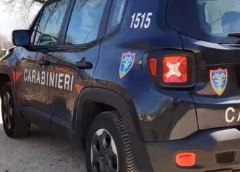 Carinaro, blitz dei forestali: sequestrata officina abusiva e proprietario denunciato