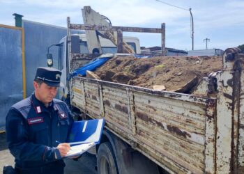 Nel casertano, imprenditore edile colto in fragrante mentre trasporta rifiuti speciali: denunciato e sanzionato