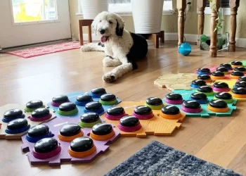 Botton dog, i cani che comunicano pigiando dei bottoni: lo studio