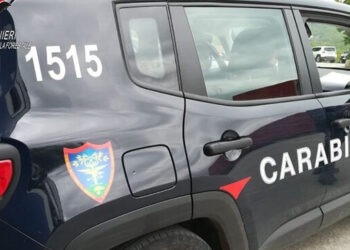 Capua, sorpreso a bruciare rifiuti dai carabinieri della forestale di Caserta: denunciato