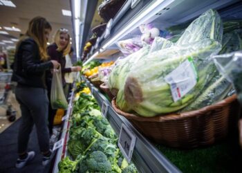 Imballaggi, nuova direttiva Ue: addio a insalate in busta e non solo