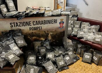 Quaranta chili di droga in garage: incensurato in manette a Pompei