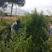 Somma Vesuviana, coltivava cannabis vicino casa: arrestato 72enne del posto