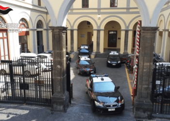 Droga dalla Spagna a Napoli: tonnellate di stupefacenti tra frutta e ortaggi destinati ai mercati ortofrutticoli (Video e foto)