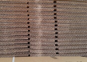 Imballaggi edibili: La rivoluzione della plastica da imballaggi arriva dalla Cina