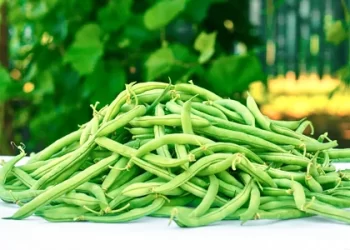 Fagiolini verdi o baccelli di fagiolo, proprietà e benefici per la salute