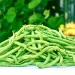Fagiolini verdi o baccelli di fagiolo, proprietà e benefici per la salute