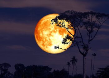 In arrivo la Superluna del cervo, spettacolo in cielo: ecco cosa sapere e quando vederla