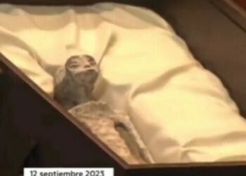 UFO, nuove sensazionali prove che non siamo soli nell’Universo: mostrati due cadaveri alieni durante un congresso