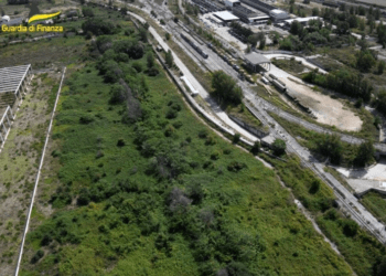 Casaluce, Macerata Campania e Marcianise, la finanza scova 3 piantagioni di droga: rinvenuti 190 chili di stupefacenti