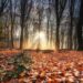 Equinozio d’autunno, sabato 23 settembre 8:49 ora italiana inizia la stagione autunnale