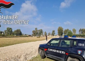 Castel Volturno, scoperte opere abusive nella Riserva Naturale: denuncia e sequestro dei carabinieri
