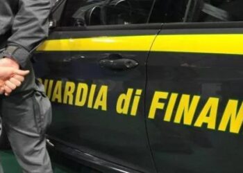Operazione antidroga della GdF di Caserta, sequestrati oltre 45 kg di cannabis e cinque piantagioni (Video)