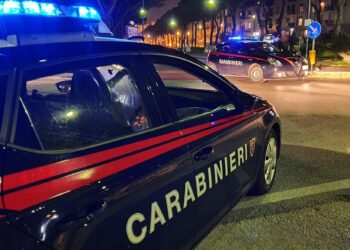 Napoli, controlli a tappeto da Rione Traiano a Posillipo: un arresto per droga, denunce e sanzioni