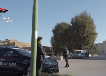 Brusciano, blitz dei carabinieri nel rione “219”, sgominato il clan “Rega Piacente”: 35 arresti (Video)