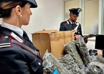 A Caserta casalinga apre un pacco consegnato a casa sua e trova al suo interno circa 10 kg di marijuana