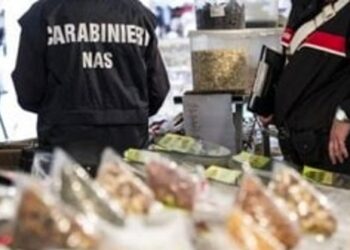 Trentola Ducenta, sequestro di prodotti ittici irregolari e sanzioni per due pescherie