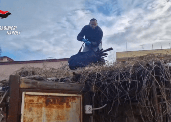 Castellammare, scoperto arsenale con armi da guerra sulla tettoia di un box abusivo (Video)