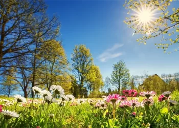 Domani, mercoledì 20 marzo, arriva l’equinozio di primavera: il giorno avrà la stessa durata della notte