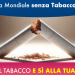 Oggi si celebra la Giornata mondiale senza tabacco: suggerimenti per smettere di fumare