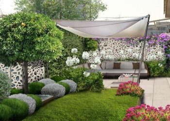Bonus verde 2024: tutti i dettagli dell’agevolazione per giardini e terrazzi