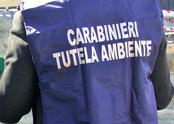 Trentola Ducenta, rifiuti speciali tombati all’interno di una ditta edile: scatta denuncia e sequestro