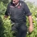 Monti Lattari, blitz antidroga: 1 arresto e sequestro di marijuana e purple weed (Video e foto)