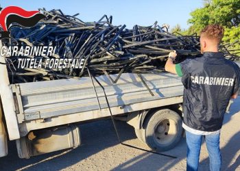 Orta di Atella, sequestrato autocarro dalla Forestale: trasportava illecitamente rifiuti agricoli