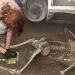 Pompei, durante gli scavi scoperti i resti di un uomo e una donna con oro e gioielli